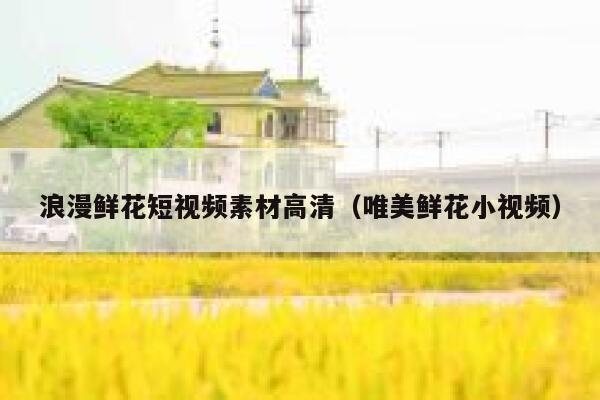 浪漫鲜花短视频素材高清（唯美鲜花小视频）