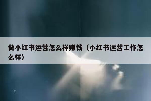 做小红书运营怎么样赚钱（小红书运营工作怎么样）