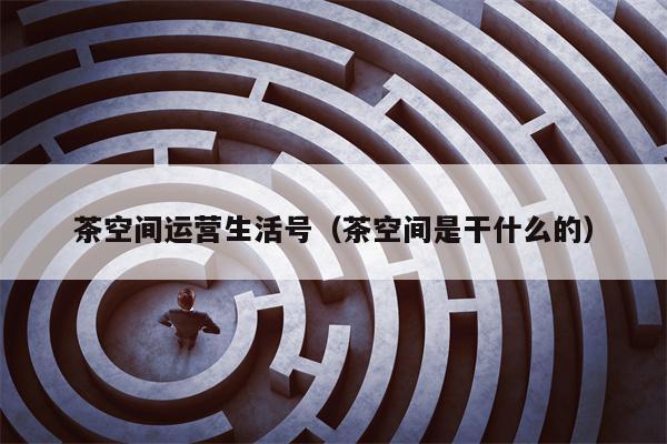 茶空间运营生活号（茶空间是干什么的）