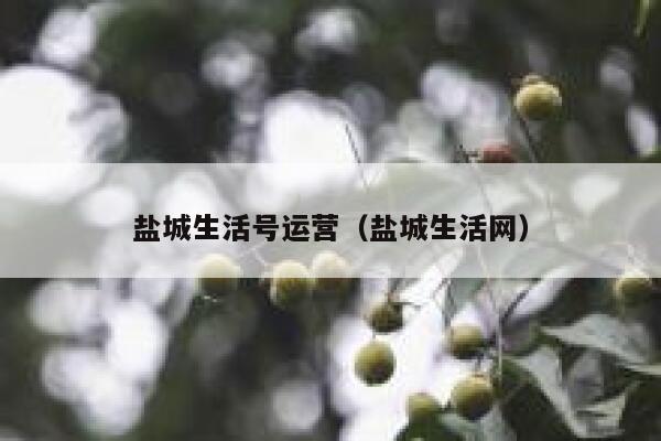 盐城生活号运营（盐城生活网）