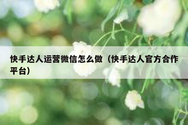 快手达人运营微信怎么做（快手达人官方合作平台）