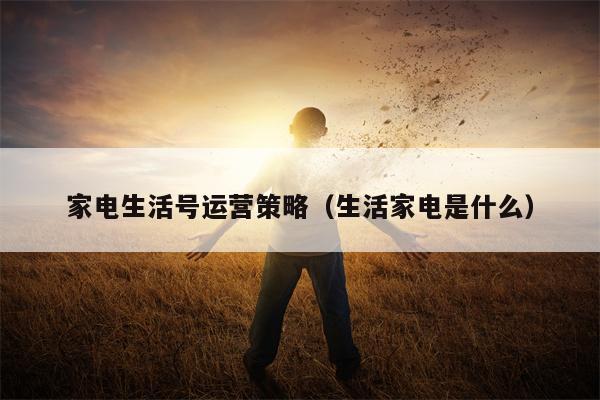 家电生活号运营策略（生活家电是什么）