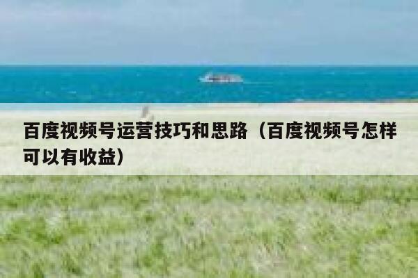 百度视频号运营技巧和思路（百度视频号怎样可以有收益）
