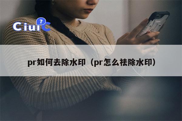 pr如何去除水印（pr怎么祛除水印）