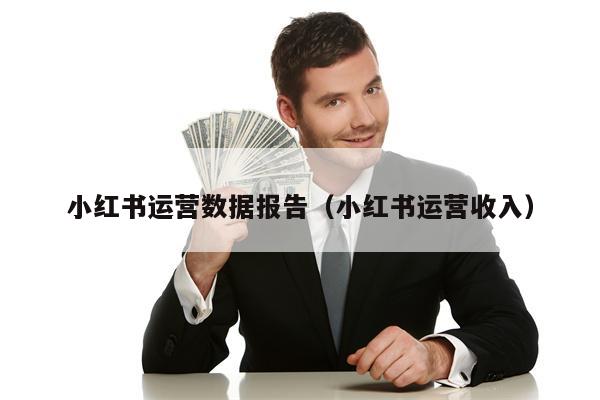 小红书运营数据报告（小红书运营收入）