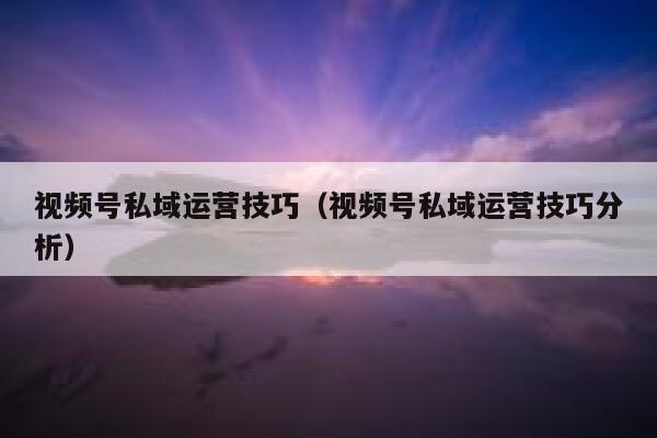 视频号私域运营技巧（视频号私域运营技巧分析）