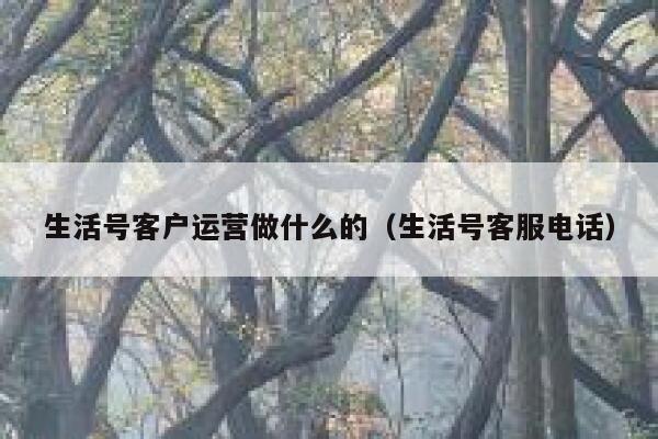 生活号客户运营做什么的（生活号客服电话）