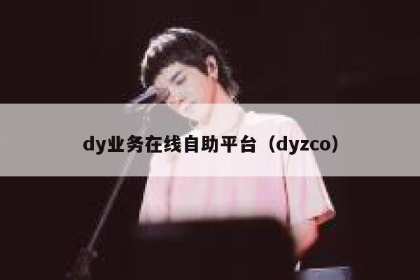 dy业务在线自助平台（dyzco）