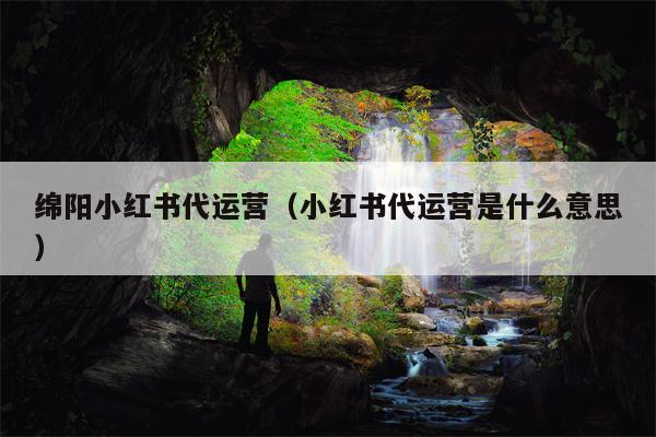 绵阳小红书代运营（小红书代运营是什么意思）