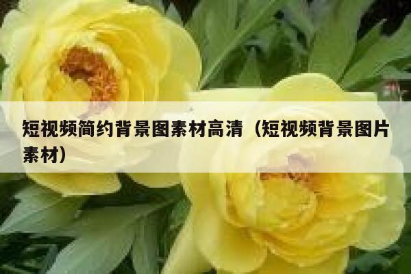 短视频简约背景图素材高清（短视频背景图片素材）