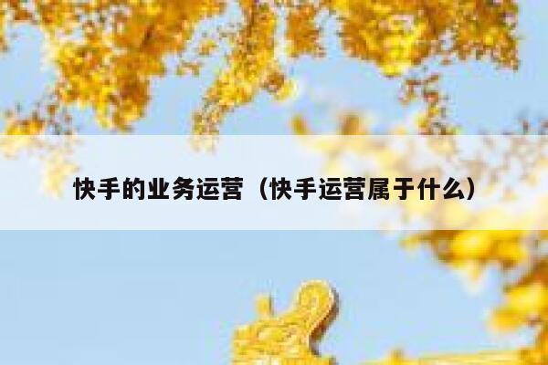 快手的业务运营（快手运营属于什么）