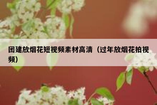 团建放烟花短视频素材高清（过年放烟花拍视频）
