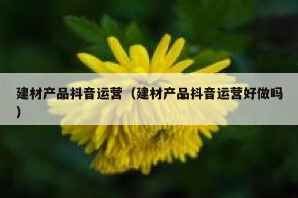 建材产品抖音运营（建材产品抖音运营好做吗）
