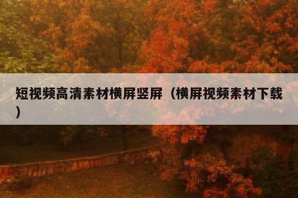 短视频高清素材横屏竖屏（横屏视频素材下载）