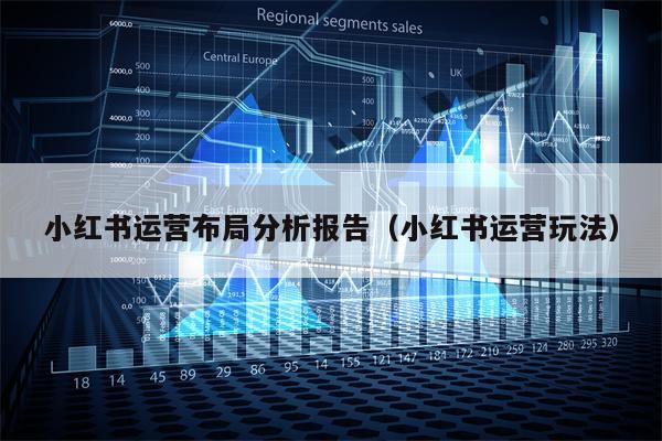 小红书运营布局分析报告（小红书运营玩法）