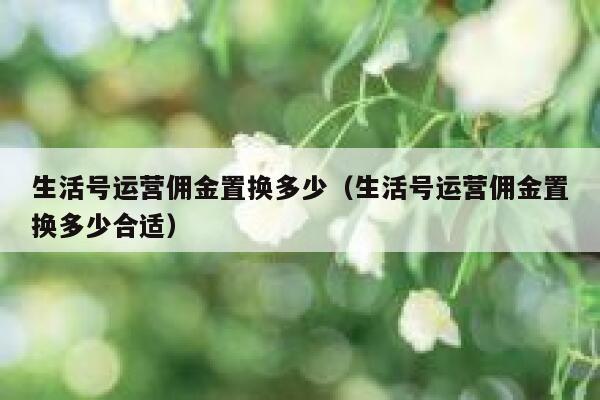 生活号运营佣金置换多少（生活号运营佣金置换多少合适）
