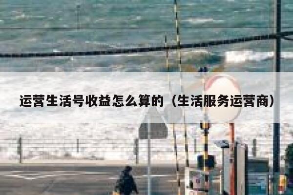 运营生活号收益怎么算的（生活服务运营商）