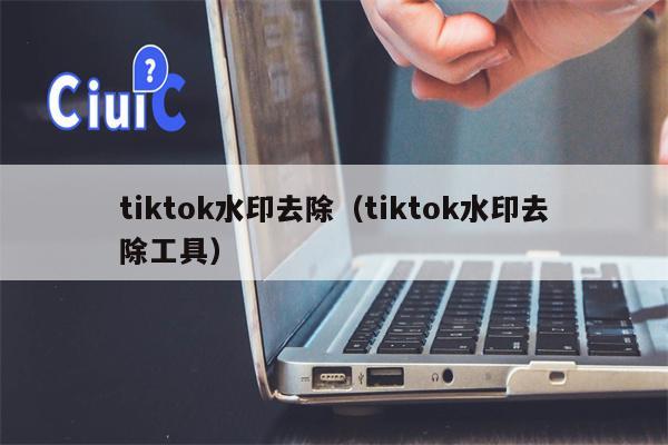 tiktok水印去除（tiktok水印去除工具）