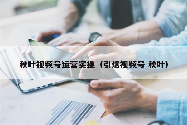 秋叶视频号运营实操（引爆视频号 秋叶）