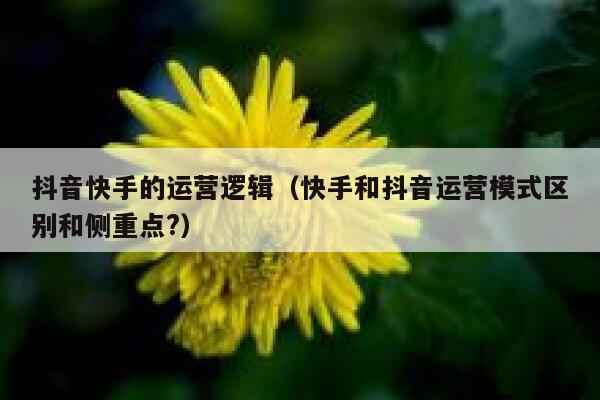 抖音快手的运营逻辑（快手和抖音运营模式区别和侧重点?）