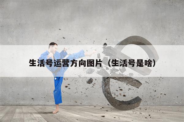 生活号运营方向图片（生活号是啥）