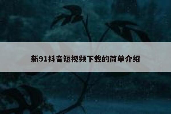 新91抖音短视频下载的简单介绍