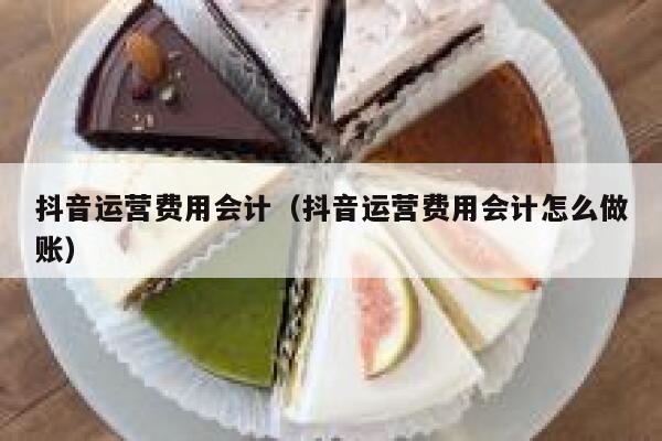 抖音运营费用会计（抖音运营费用会计怎么做账）