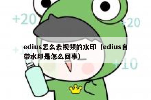 edius怎么去视频的水印（edius自带水印是怎么回事）