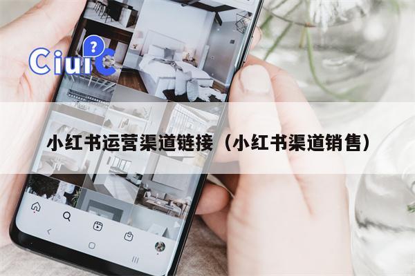 小红书运营渠道链接（小红书渠道销售）