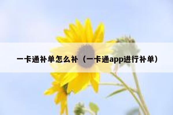 一卡通补单怎么补（一卡通app进行补单）