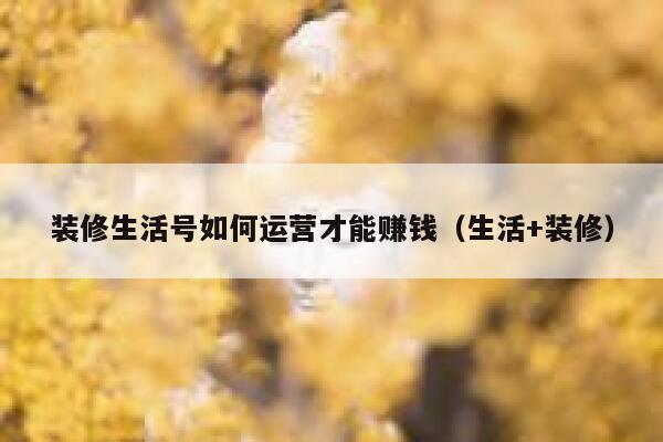 装修生活号如何运营才能赚钱（生活+装修）