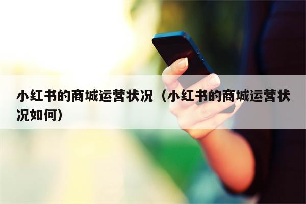 小红书的商城运营状况（小红书的商城运营状况如何）