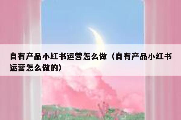 自有产品小红书运营怎么做（自有产品小红书运营怎么做的）