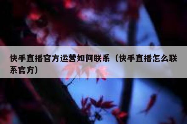 快手直播官方运营如何联系（快手直播怎么联系官方）
