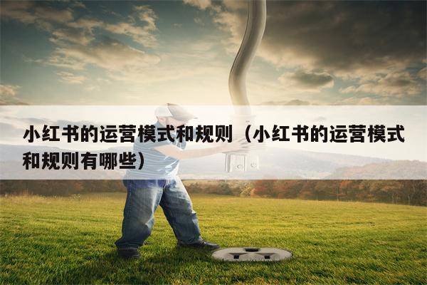 小红书的运营模式和规则（小红书的运营模式和规则有哪些）