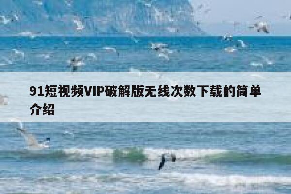 91短视频VIP破解版无线次数下载的简单介绍