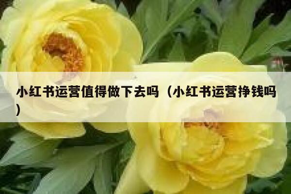 小红书运营值得做下去吗（小红书运营挣钱吗）