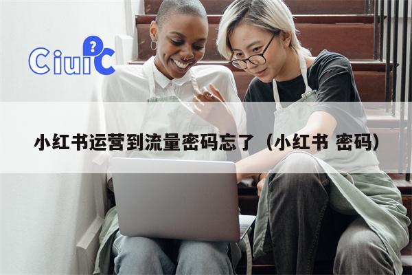 小红书运营到流量密码忘了（小红书 密码）
