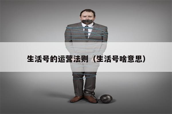 生活号的运营法则（生活号啥意思）