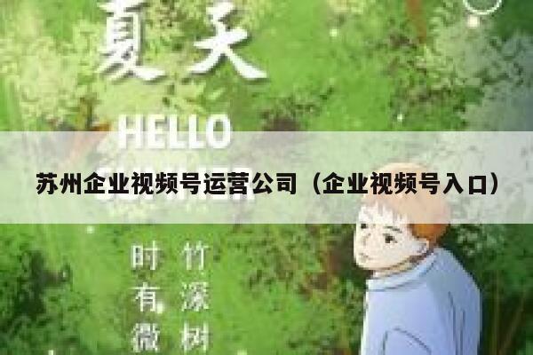 苏州企业视频号运营公司（企业视频号入口）