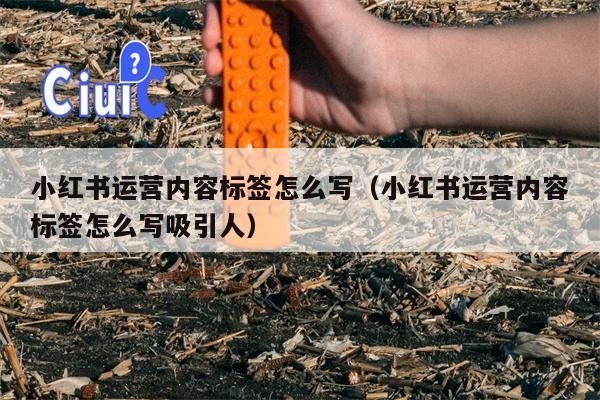 小红书运营内容标签怎么写（小红书运营内容标签怎么写吸引人）