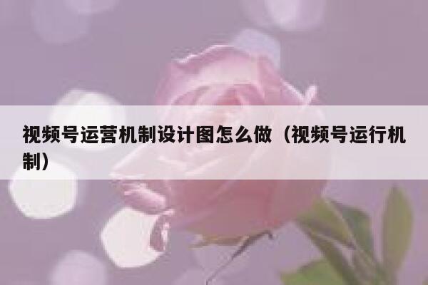 视频号运营机制设计图怎么做（视频号运行机制）