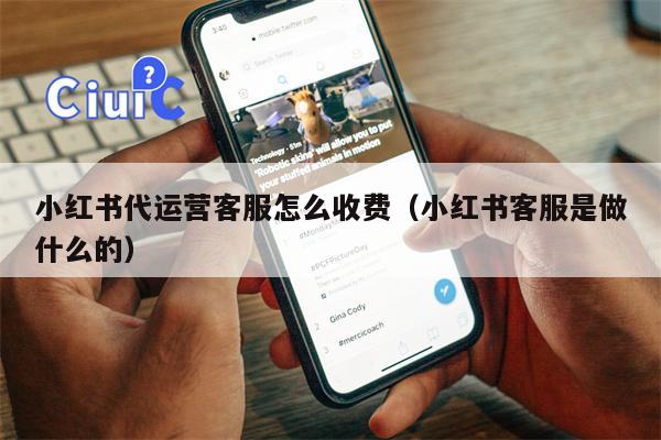 小红书代运营客服怎么收费（小红书客服是做什么的）