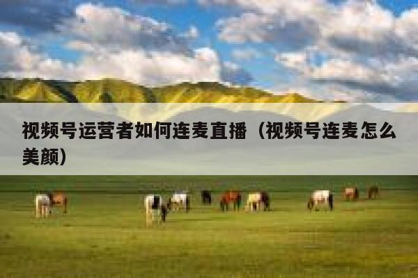 视频号运营者如何连麦直播（视频号连麦怎么美颜）