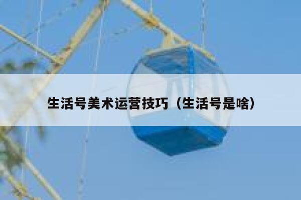 生活号美术运营技巧（生活号是啥）