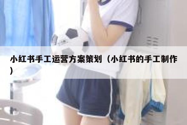 小红书手工运营方案策划(小红书的手工制作)