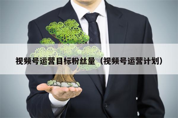视频号运营目标粉丝量（视频号运营计划）