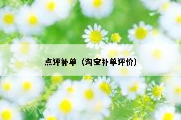 点评补单（淘宝补单评价）