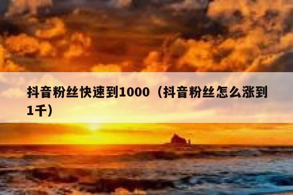 抖音粉丝快速到1000（抖音粉丝怎么涨到1千）