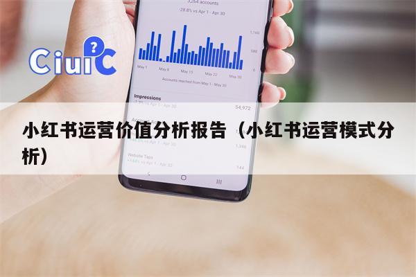 小红书运营价值分析报告（小红书运营模式分析）